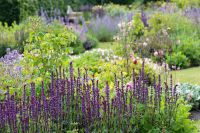 den engelska trädgården cottageträdgården cottage garden phlox höstflox sweet summer klotlök