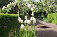 den engelska trädgården dubbla perennrabatter double herbaceous borders