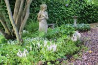 den engelska trädgården austinros wisley 2008