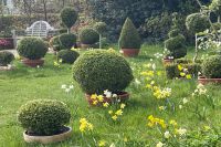 den engelska trädgården dubbla perennrabatter double herbaceous borders