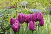 den engelska trädgården kastanjestaket cottage garden