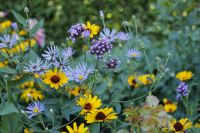 den engelska trädgården blomsterarrangemang gul ros