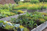 den engelska trädgården kööksträdgården kitchen garden